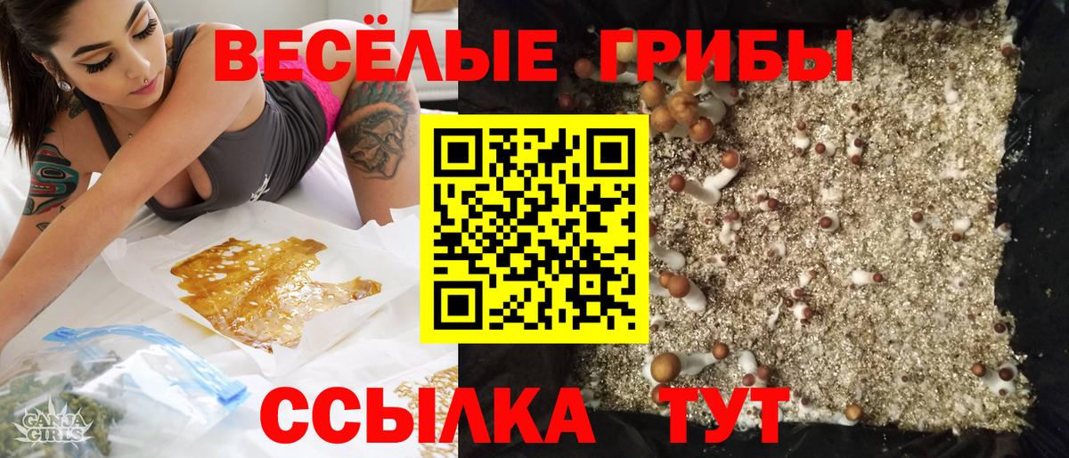 Псилоцибиновые грибы ЛСД Кострома