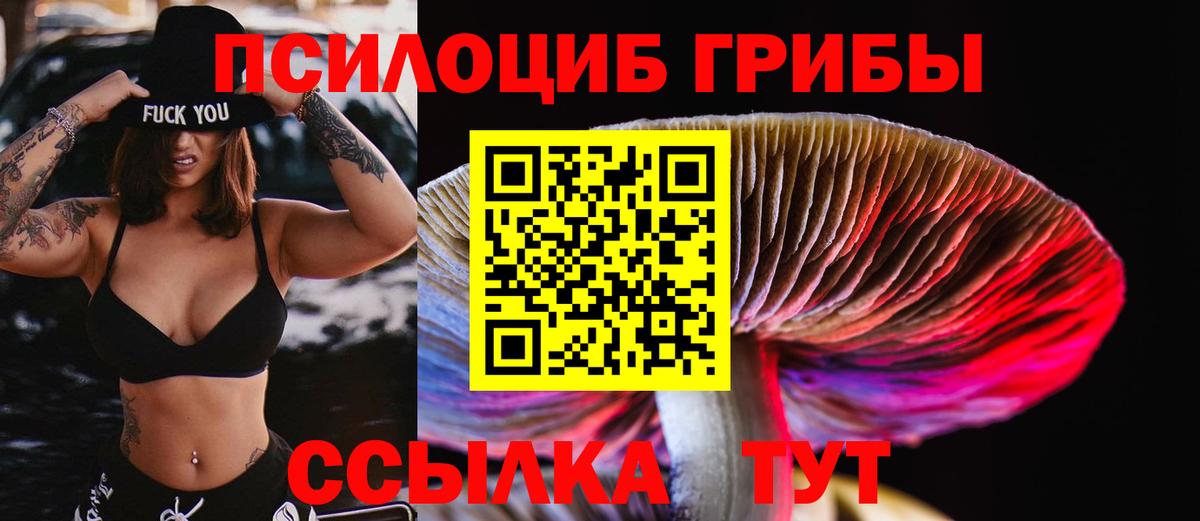 Галлюциногенные грибы ЛСД  Псилоцибиновые грибы прущие грибы  Вход с VPN  Кострома 